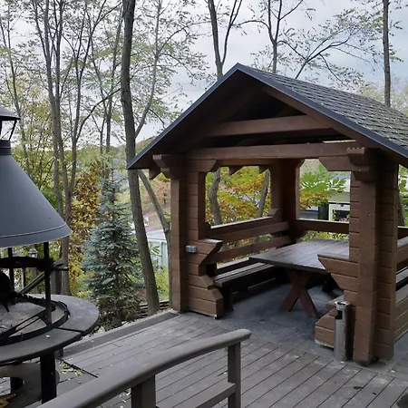 Hotel Logindariy *